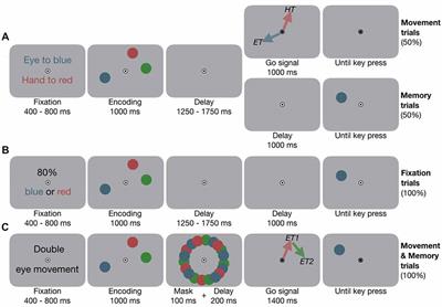 Independent Effects of Eye and Hand Movements on Visual Working Memory